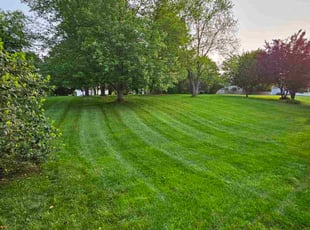 Sandra S.'s turf care service result