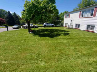 Lawrence M.'s Long Grass Cleanup service result