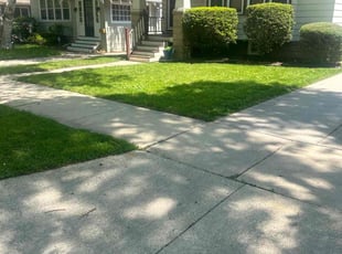 Eysis C.'s lawn service service result