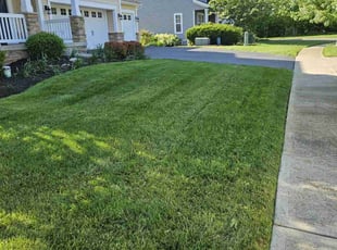 Heather G.'s lawn service service result