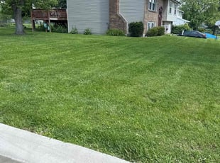 Colby H.'s grass cutting service result