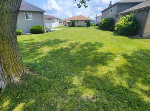 Pat B.'s lawn maintenance service result