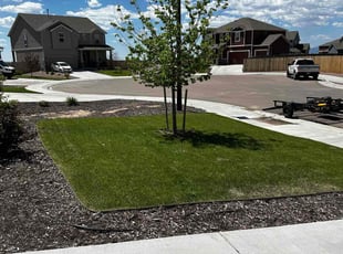Brad F.'s grass maintenance service result