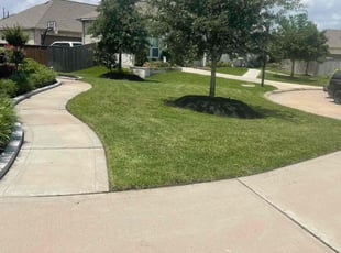 Cynthia T.'s lawn maintenance service result