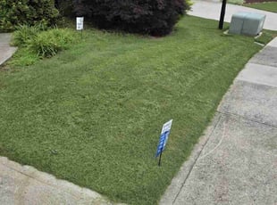 Anthony H.'s lawn maintenance service result