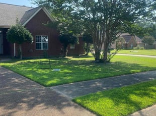 Drucilla R.'s grass maintenance service result