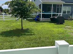 Tara J.'s turf care service result