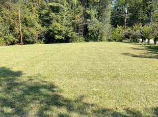 Mikaela J.'s grass cutting service result