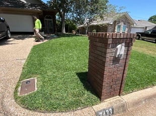Brady R.'s grass cutting service result