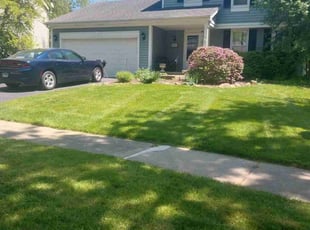 Evan B.'s lawn service service result