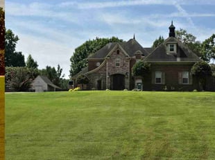 Jackie R.'s turf care service result