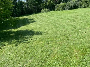 Jim A.'s turf care service result