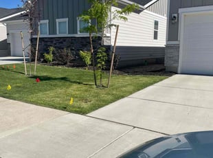 Kim L.'s turf maintenance service result