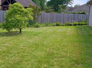 Angela T.'s turf care service result