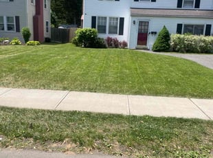Antone A.'s turf maintenance service result