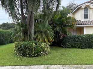 Courtney B.'s Bush Trimming service result