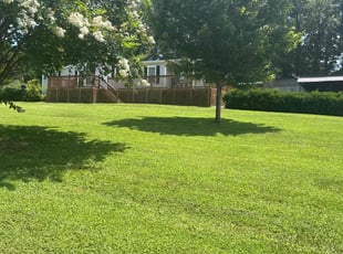 Rafael A.'s turf maintenance service result