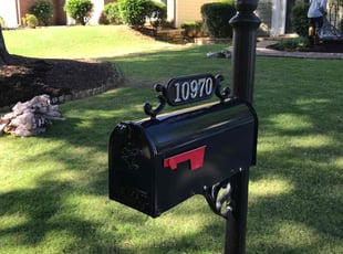 Marc N.'s grass maintenance service result