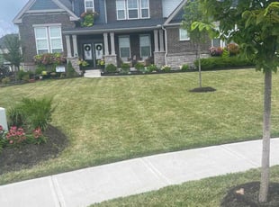 Lorraine E.'s grass maintenance service result