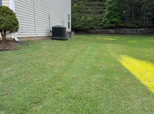 Lucas B.'s lawn maintenance service result