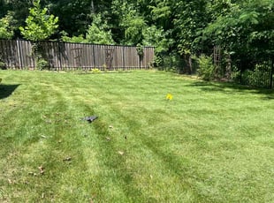 erik k.'s lawn care service result