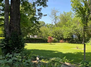 Micheline B.'s lawn care services service result