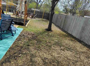 Trisha T.'s grass cutting service result