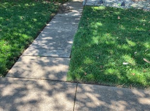 Matt B.'s turf care service result