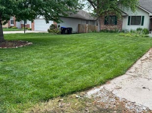 Journey B.'s lawn service service result