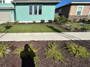 Sue C.'s grass maintenance service result