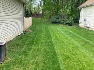Robert W.'s landscaping service result