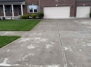 Shawn J.'s turf care service result