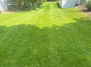 Raymond J.'s grass maintenance service result