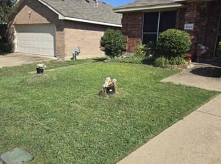 Cheryl K.'s turf care service result