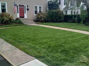 Megan M.'s yard work service result
