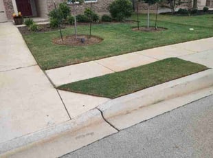 Shae C.'s lawn care service result