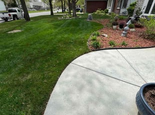 Angel O.'s turf maintenance service result