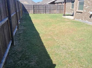 Valeri F.'s lawn service service result