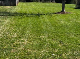 Jarvis S.'s turf care service result