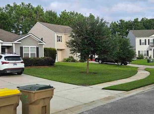 Joann A.'s lawn maintenance service result