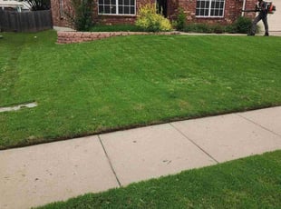 Kelly H.'s lawn care services service result
