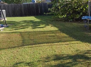 David C.'s lawn care service result