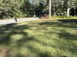 Maurice W.'s lawn maintenance service result