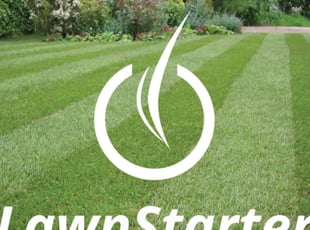 Monica G.'s turf care service result