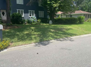 Bayleo B.'s residential landscaping service result