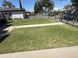 Jose C.'s grass cutting service result
