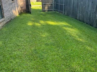 Katie L.'s turf maintenance service result