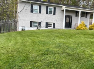 Daphne W.'s grass maintenance service result