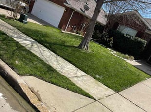 Terri B.'s grass maintenance service result