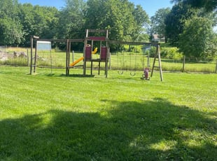Cindi M.'s turf maintenance service result